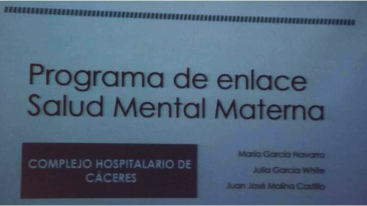 Programa salud mental materna