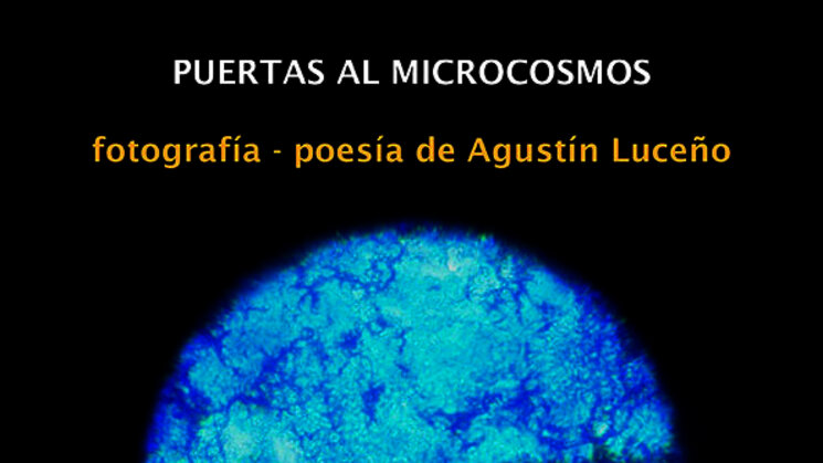 Exposicin Puertas al microcosmos