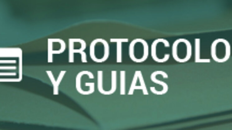 Protocolos y Guas Clnicas