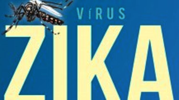 Infeccin por el Zika virus