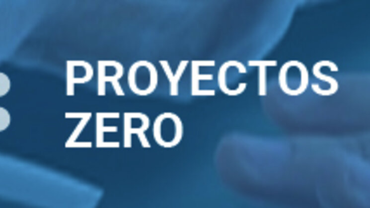 Mayo MSP Proyectos Zero