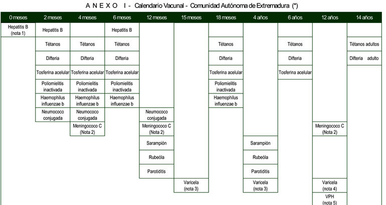 El SES cambia el calendario vacunal para reducir pinchazos en el lactante