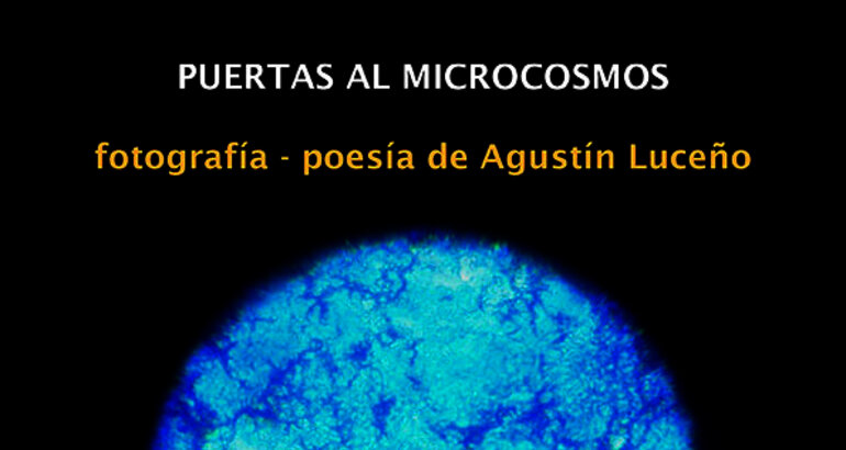 Exposicin Puertas al microcosmos