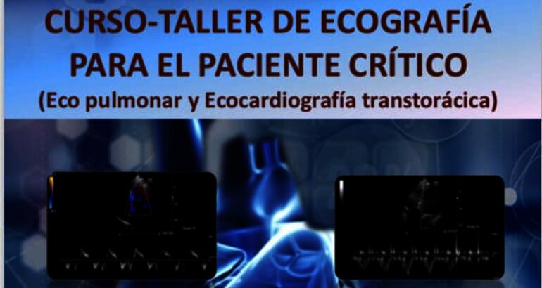 3 Edicin del CursoTaller de Ecografa para el paciente crtico ETT y Ecopulmonar