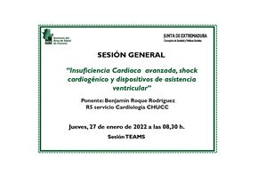  Insuficiencia Cardiaca avanzada, shock cardiogénico y dispositivos de asistencia ventricular