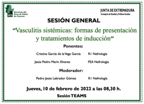 Vasculitis sistémicas: formas de presentación y tratamientos de inducción