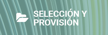 SELECCIÓN Y PROVISIÓN