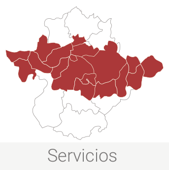 Servicios